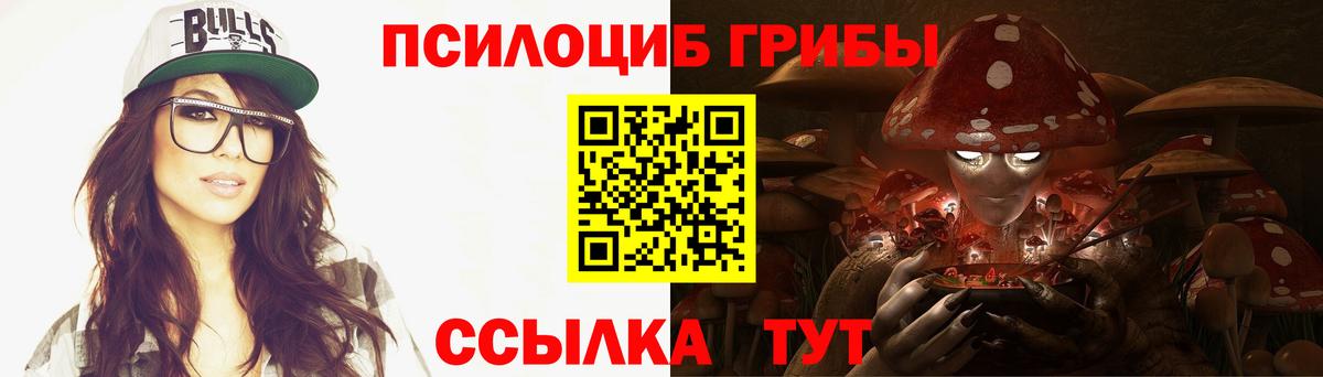 Галлюциногенные грибы Cubensis  Вход с VPN  Фрязино 